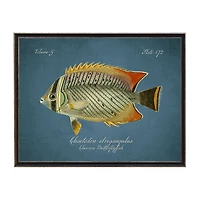 Chevron Butterflyfish Framed Wall Art