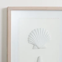 White Shells Shadowbox Wall Plaque