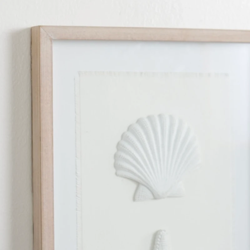 White Shells Shadowbox Wall Plaque