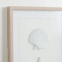 White Shells Shadowbox Wall Plaque