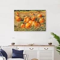 Pumpkin Harvest Canvas Art Print