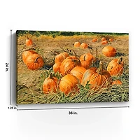 Pumpkin Harvest Canvas Art Print