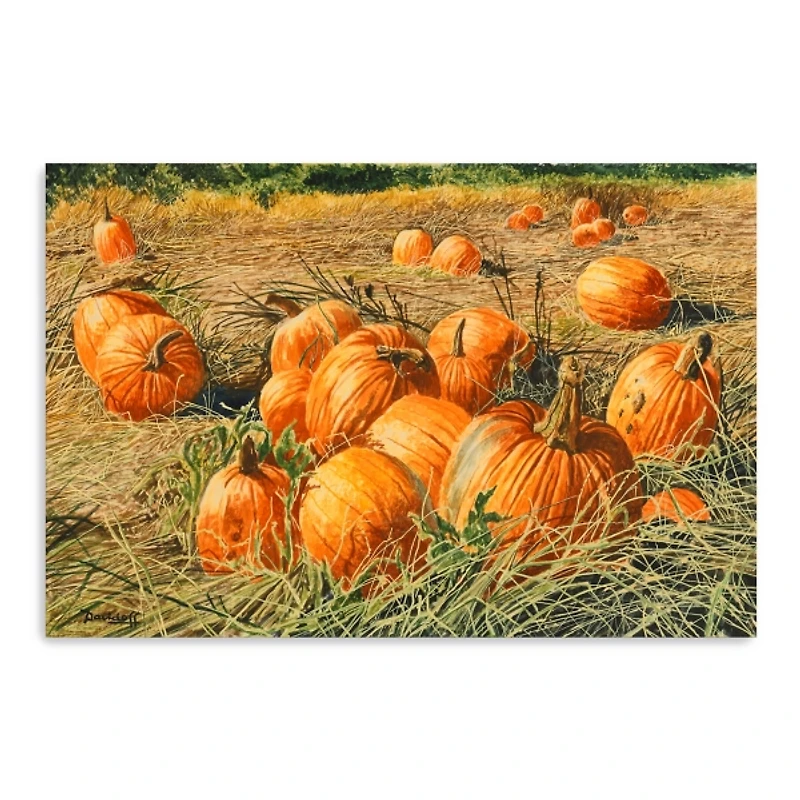Pumpkin Harvest Canvas Art Print