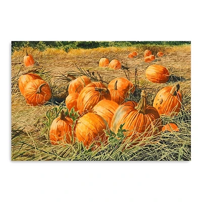 Pumpkin Harvest Canvas Art Print