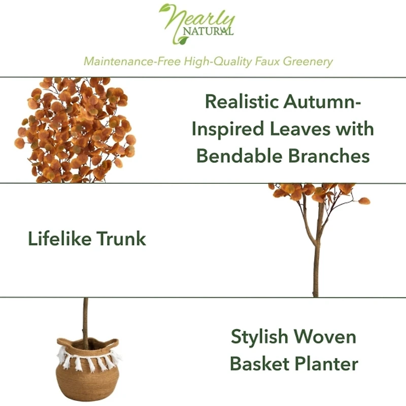 Fall Eucalyptus Tree in Woven Planter, 5 ft.