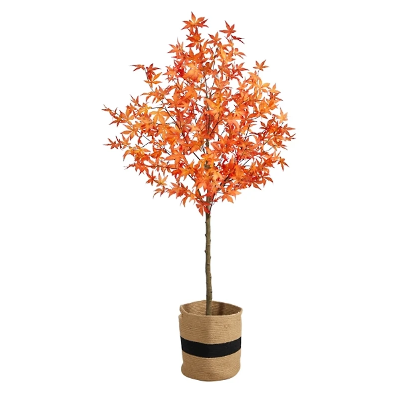 Fall Maple Tree in Woven Planter, 6 ft.