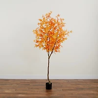 Orange Maple Tree in Black Planter, 7 ft.