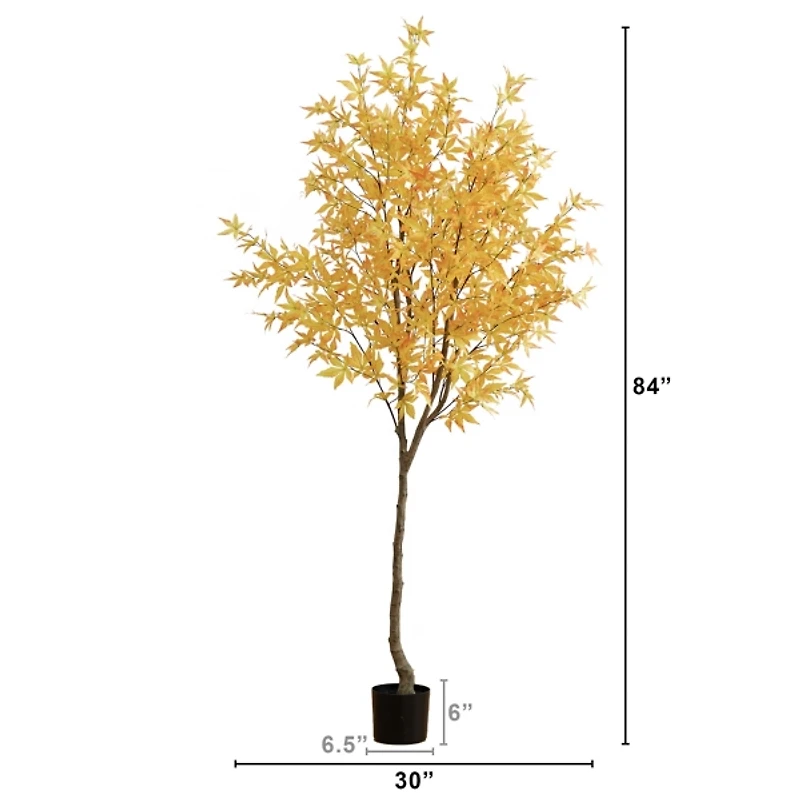 Yellow Maple Tree in Black Planter, 7 ft.