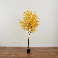 Yellow Maple Tree in Black Planter, 7 ft.
