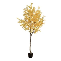 Yellow Maple Tree in Black Planter, 7 ft.