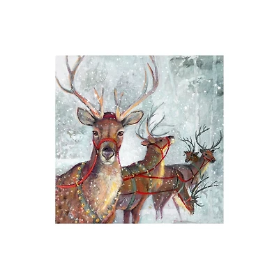 Reindeer Friends Canvas Art Print