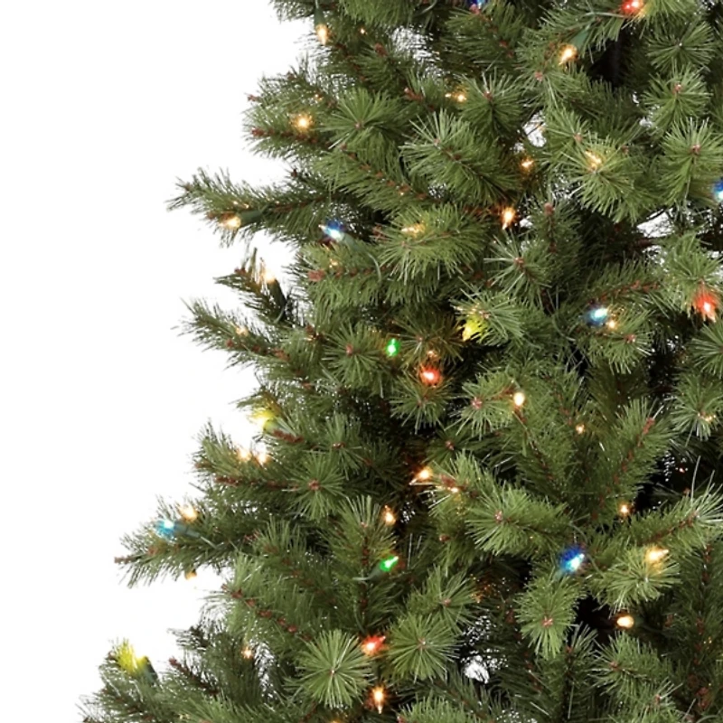 6 ft. Pre-Lit Asheville Alpine Christmas Tree
