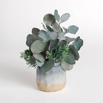Eucalyptus Arrangement in Ombre Vase