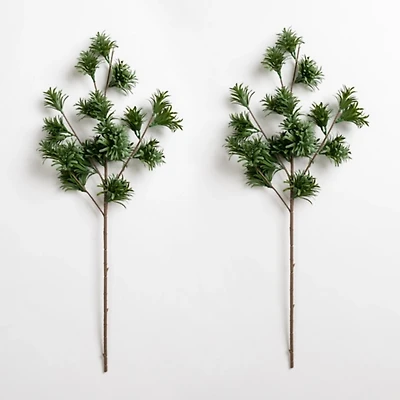 Japanese Pine Stems, Set of 2