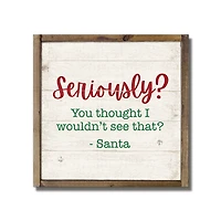 Seriously See That Christmas Wall Plaque