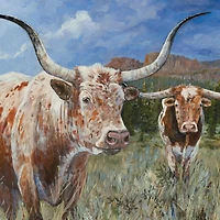 Mavericks Framed Canvas Art Print