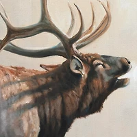 Wild Elk Framed Canvas Art Print
