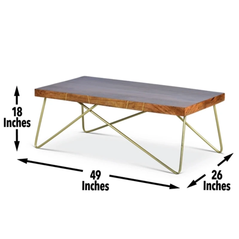 Modern Mango Wood Brass Coffee Table