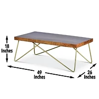 Modern Mango Wood Brass Coffee Table