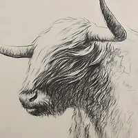 Windswept Bison Framed Canvas Art Print