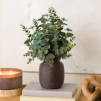 Eucalyptus Arrangement in Chocolate Vase