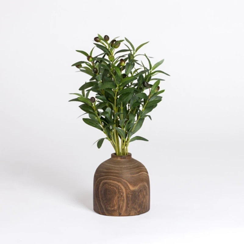 Olive Plant in Walnut Wood Vase