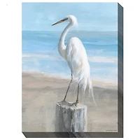 Egret Portrait Outdoor Canvas Art Print