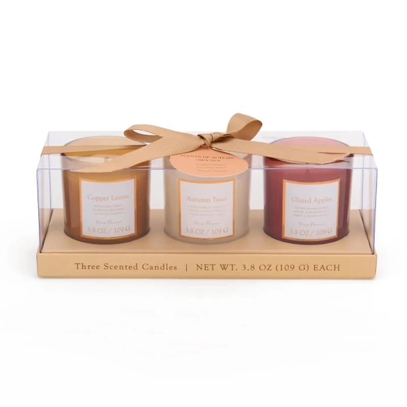 Fall Glass Jar Candles 3-pc. Gift Set