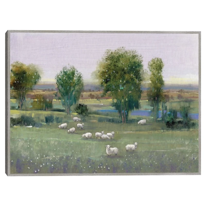 Field of Sheep Framed Canvas Art Print
