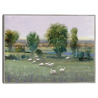 Field of Sheep Framed Canvas Art Print