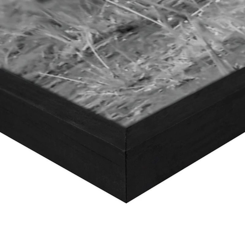 Highland Courting Framed Canvas Art Print