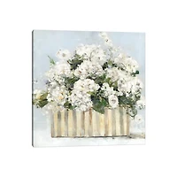 Sweet Hydrangea Canvas Art Print