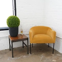 Boxwood Topiary in Decorative Black Pot