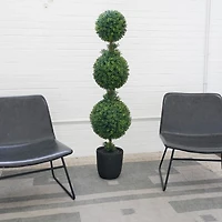Boxwood Triple Topiary in Decorative Black Pot