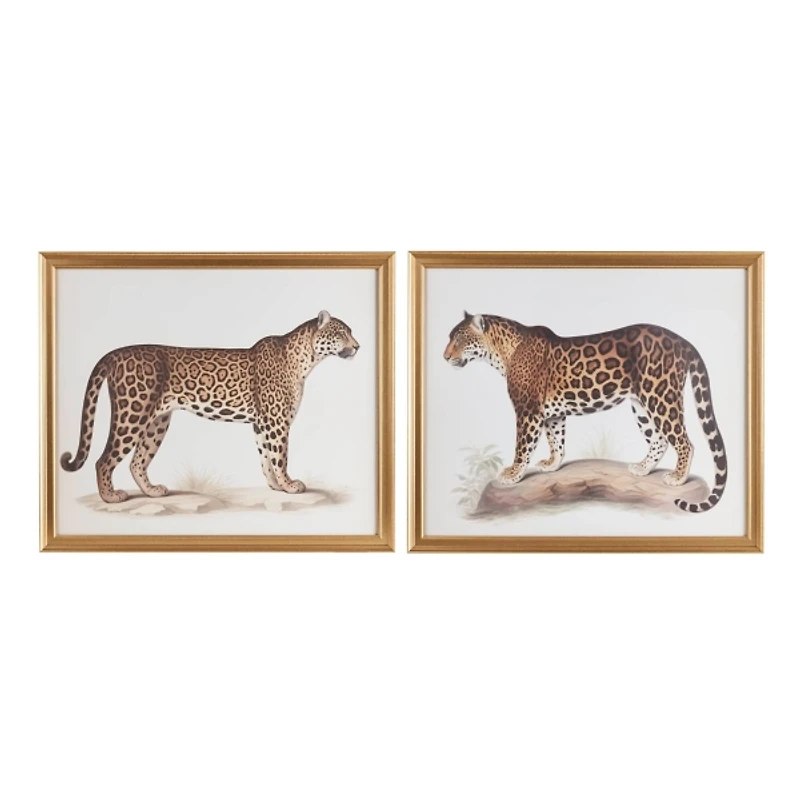 Two Cheetahs Framed Wall Art, Set of 2