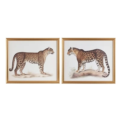 Two Cheetahs Framed Wall Art, Set of 2