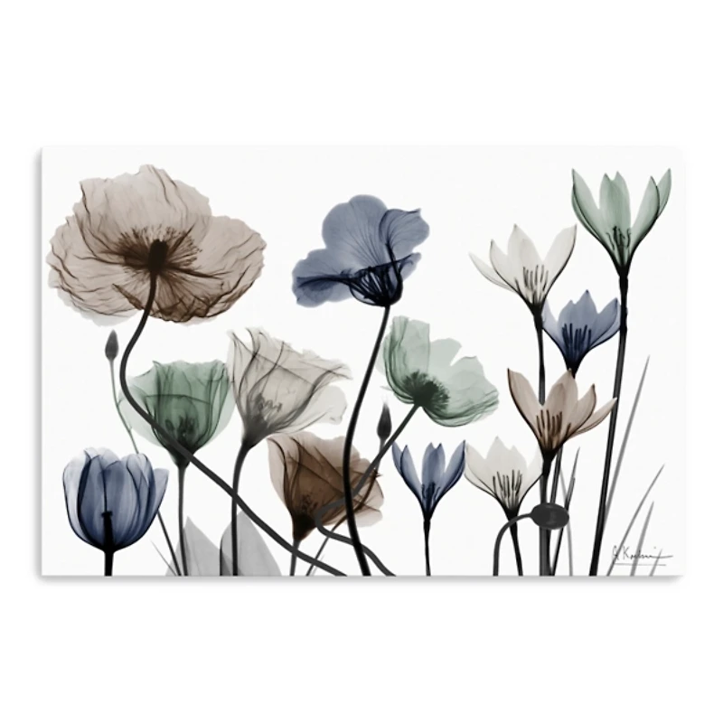 Amusing Delight Floral Canvas Art Print