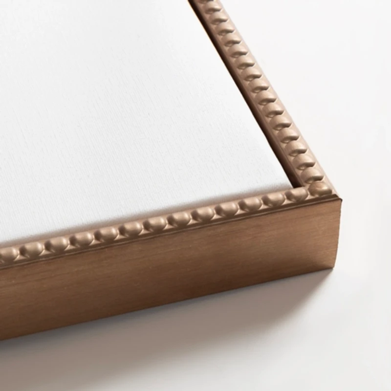 Clover Blossom II Framed Canvas Art Print