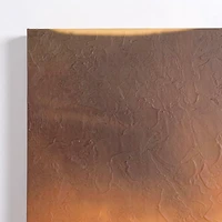 Horses Running Wild Canvas Art Print