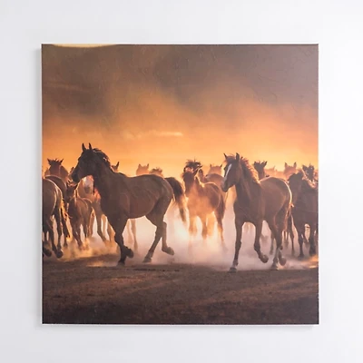 Horses Running Wild Canvas Art Print