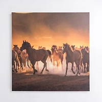 Horses Running Wild Canvas Art Print