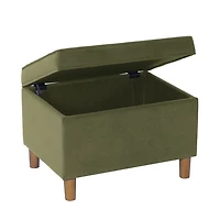 Sage Green Velvet Rectangle Storage Ottoman