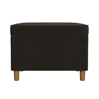 Chocolate Brown Velvet Rectangle Storage Ottoman