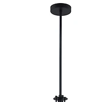 Black Metal Madeline Pendant Light