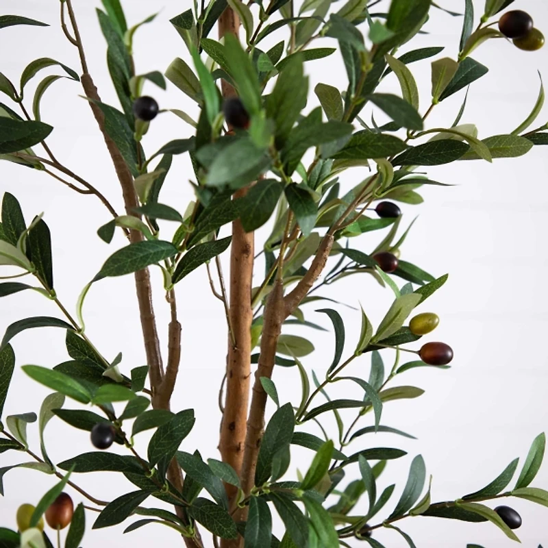 Slim Olive Tree in Woven Planter, 7 ft.