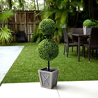 Pre-Lit Double Boxwood Topiary in Planter, 3 ft.
