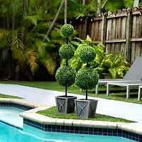 Pre-Lit Double Boxwood Topiary in Planter, 3 ft.