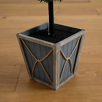 Pre-Lit Triple Boxwood Topiary in Planter, 4 ft.