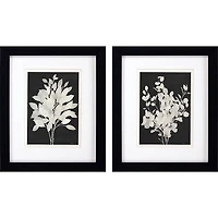 Misty Branches Framed Art Prints, Set of 2