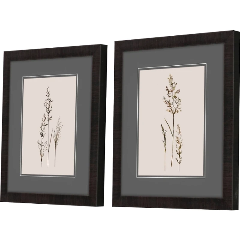 Delicate Stems Framed Art Prints, Set of 2